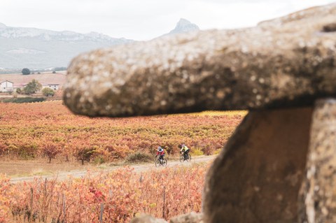 Orbea Gravel Arabako Errioxa, bakarra munduan